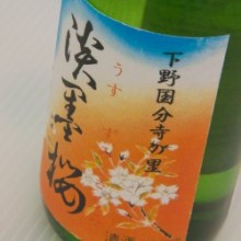 特別本醸造　淡墨桜